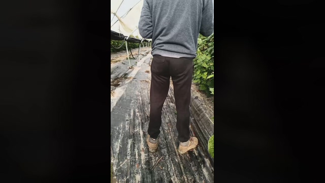 Nenitohuelv  13-02-2022